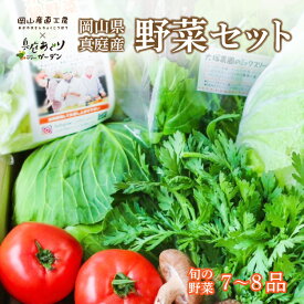 【ふるさと納税】 【岡山の旬をお届け！】真庭あぐり野菜セット 7〜8品 便利なカット野菜入り / 岡山産直工房 産地直送 農家 お試し おためし野菜 岡山 旬野菜 新鮮 真庭 あぐりガーデン 十字屋 国産 【配送不可地域：離島・北海道・沖縄県】