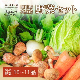 【ふるさと納税】 【岡山の旬をお届け！】真庭あぐり野菜セット 10〜11品 便利なカット野菜入り / 岡山産直工房 産地直送 農家 お試し おためし野菜 岡山 旬野菜 新鮮 真庭 あぐりガーデン 十字屋 国産 【配送不可地域：離島・北海道・沖縄県】