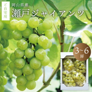 yӂ邳Ɣ[Łz ^sY ˃WCAc p 3`6[ / y2025N9{ȍ~\z ʌ Ԃǂ 荠 󂠂 R ^  uhE ʕ t[c Yn VN YԂ