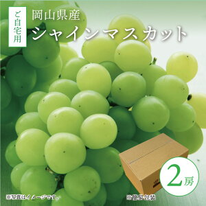 yӂ邳Ɣ[Łz ^sY VC}XJbg p 2[ / y2025N9{ȍ~\z ʌ Ԃǂ 荠 󂠂 R ^  uhE ʕ t[c }XJbg Yn VN 