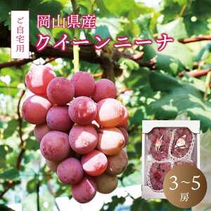 yӂ邳Ɣ[Łz^sY NC[j[i 2kgO / y2025N9{ȍ~\z ʌ Ԃǂ p R ^  uhE ʕ t[c Mtg Yn VN lC Â Z 
