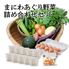 【ふるさと納税】 【岡山の旬をお届け！】真庭あぐり野菜セット（野菜10品・卵・ヨーグルトのセット）/ 産地直送 農家 お試し おためし野菜 岡山 旬野菜 新鮮 真庭 あぐりガーデン 蒜山 ジャージー たまご ヨーグルト 国産 【配送不可地域：離島/北海道/沖縄県】【yasai019】