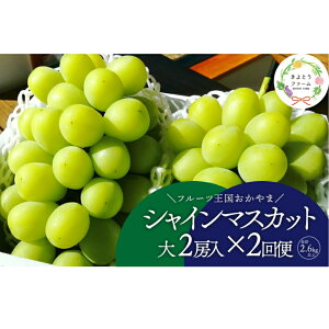 �y�ӂ邳�Ɣ[�Łz �y2026�N��s�\��z���R�̃V���C���}�X�J�b�g���y���ޖ���2��ցI����2�[×2��/�S�֌v2.6kg~ (�����)(���R���Y)�y�z���s�n��F�����z�y4066234�z�yKF-T044-03�z