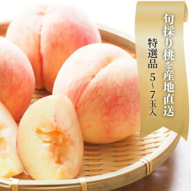 【ふるさと納税】 【特選品】旬採り桃(品種おまかせ) 5-7玉 (岡山県産) 【配送不可地域：離島】もも 桃 モモ 先行予約 フルーツ 果物 真庭市 フルーツ王国 きよとう果樹園 岡山【KF-A001-02】