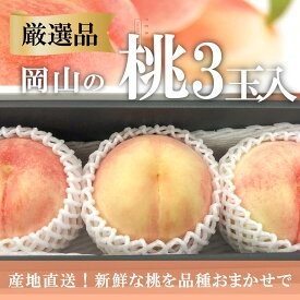 【ふるさと納税】 【厳選品】旬の桃(品種おまかせ) 大玉3玉 (岡山県産)【7月以降順次発送予定】【配送不可地域：離島】もも 桃 モモ 先行予約 フルーツ 果物 真庭市 フルーツ王国 きよとう果樹園 岡山【KF-A016-03】