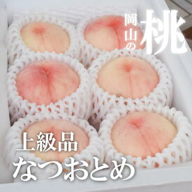 【ふるさと納税】 桃 上級品 5-7玉 岡山県産 なつおとめ 先行予約 きよとう果樹園 岡山 / フルーツ 果物 先行予約 桃 もも モモ 数量限定 送料無料 産地直送 期間限定 白桃 くだもの 岡山産 真庭市 贈答 お中元 お歳暮 ギフト プレゼント 甘い 美味しい