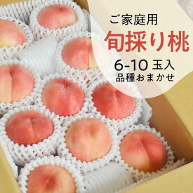 【ふるさと納税】 桃 ご家庭用 6-10玉 岡山県産 きよとう果樹園 旬取り 品種おまかせ / フルーツ 果物 先行予約 桃 もも モモ 数量限定 送料無料 産地直送 期間限定 白桃 川中島白桃 くだもの 夏かんろ あかつき まどか さくら白桃 桃水 西王母【KF-A018-04】