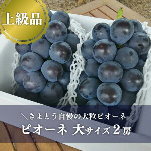 yӂ邳Ɣ[ŁzyƂt@[zy㋉izsI[l 2[/v1.3kg`(RY)y8{ȍ~\zyzsnFzԂǂ uhE  R sI[l s\ t