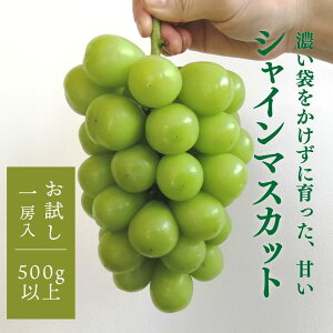 yӂ邳Ɣ[ŁzyƂt@[z VC}XJbg 1[ 500gȏ iR^sYjy9ȍ~\z izsnFj Ԃǂ  s\ yKF-B008-01z