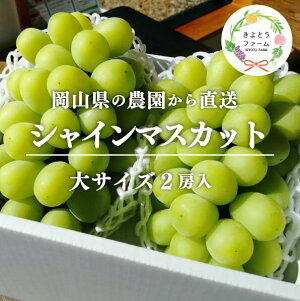 yӂ邳Ɣ[ŁzyƂt@[zVC}XJbg 2[/v1.3kg`(RY)y9ȍ~\zyzsnFzԂǂ uhE  R VC}XJbg s\
