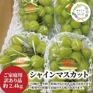yӂ邳Ɣ[ŁzyƂt@[z y󂠂z VC}XJbg ƒp/2.4kg(RY)y9ȍ~\zyzsnFzԂǂ uhE  R VC}XJ