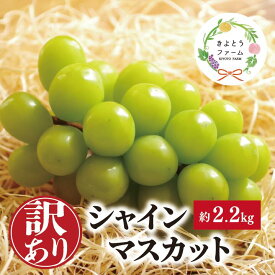 【ふるさと納税】 【訳あり】シャインマスカット ご家庭用/約2.2kg (岡山県産)【2026年9月以降順次発送予定】【配送不可地域：離島】ぶどう ブドウ 葡萄 岡山 シャインマスカット 先行予約 フルーツ 果物 真庭市