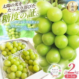 【ふるさと納税】 ぶどう シャイン マスカット 2kg 以上 3-5房 【2026年発送 先行予約】 ぶどう 葡萄 種なし 産地直送 人気 果物 フルーツ 大粒 くだもの ブドウ マスカット 約2kg 送料無料 数量限定 期間限定 お取り寄せ ギフト 贈り物 岡山 シャインマスカット