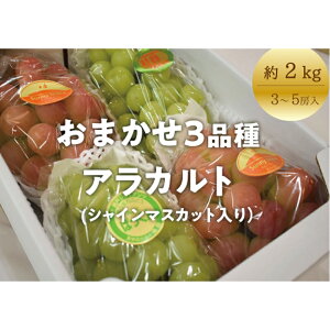 yӂ邳Ɣ[ŁzyƂt@[zԂǂ3il(VC}XJbg)3-5[/v2kg`(RY)y9ȍ~\zyzsnFzԂǂ uhE  R VC