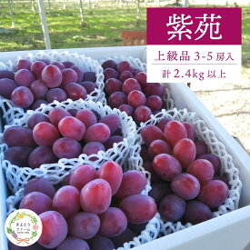 【ふるさと納税】【特選品】ワインレッドの葡萄「紫苑(しえん)」 3-5房/計2.4kg～(岡山県産) / ぶどう ブドウ 葡萄 先行予約 フルーツ 果物 真庭市 フルーツ王国 きよとう果樹園【配送不可地域：離島】【KF-B046-03】