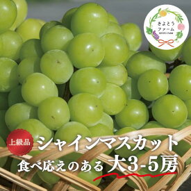 【ふるさと納税】 【上級品】シャインマスカット 大3-5房/計2.4kg～(岡山県産) 【9月以降より順次発送予定】【配送不可地域：離島】 / シャインマスカット 葡萄 ぶどう 果物 くだもの フルーツ 上級品 岡山県産 大人気