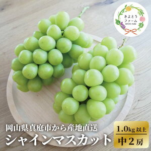 yӂ邳Ɣ[ŁzyƂt@[zHא؃TCY VC}XJbg 2[/v1.0kg` (RY) / Ԃǂ uhE  R VC}XJbg ʕ ^syzsnFzyKF-B