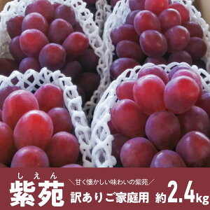 【ふるさと納税】【きよとうファーム】訳あり ご家庭用 秋のぶどう 「紫苑(しえん)」 約2.4kg (岡山県産)【2025年10月以降順次発送予定(お届け日指定不可)】【配送不可地域:離島】/ 葡萄