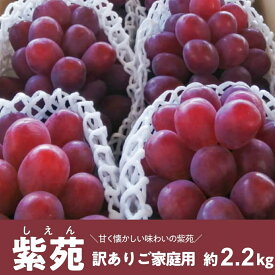 【ふるさと納税】 【2026年先行予約】訳ありご家庭用 紫苑(しえん)/ 約2.2kg (岡山県産)【2026年10月以降順次発送予定（お届け日指定不可）】【配送不可地域：離島】/ 葡萄 ブドウ 真庭市 甘い ジューシー 産地直送【KF-B085-03】