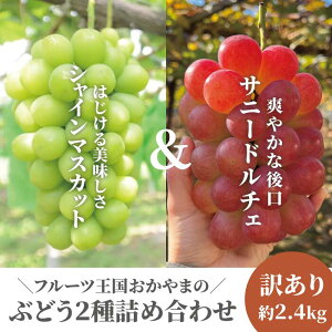 yӂ邳Ɣ[ŁzyƂt@[z󂠂i VC}XJbg&Tj[h`F/2.4kg` (RY)y2025N9ȍ~\i͂wsjyzsnFz/ Ԃǂ 