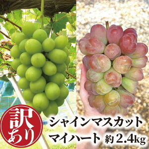 yӂ邳Ɣ[Łz yƂt@[z y󂠂zƒp VC}XJbg}Cn[g 2.4kg (RY) / Ԃǂ uhE  VC}XJbg s\ t[c ʕ ^sy