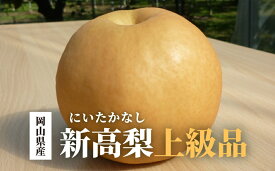 【ふるさと納税】 【2026年先行予約】新高梨 上級品 3-6玉 (岡山県産)【KF-C002-01】/ 新高梨 梨 上級品 贈り物 お歳暮 果物 くだもの フルーツ