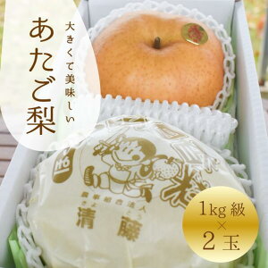 【ふるさと納税】【きよとうファーム】あたご梨 上級品 2玉入(1.0kg級/玉) (岡山県産) 【2025年11月以降より順次発送予定】【KF-C004-01】 / あたご梨 愛宕梨 梨 特選品 上級品 贈り物 御歳暮 果物