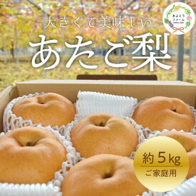 【ふるさと納税】 【2026年先行予約】あたご梨 ご家庭用/約5kg (岡山県産)【2026年11月以降より順次発送予定】 【KF-C008-03】 / あたご梨 愛宕梨 梨 果物 くだもの フルーツ ご家庭用 きよとう果樹園 フルーツ王国 岡山県産