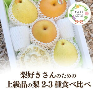 yӂ邳Ɣ[Łz yƂt@[zD̂߂́A2`3Hה ㋉i 5-7 (RY) yKF-C014-01z/  a m ㋉i RY ʕ  t[c Ε 蕨