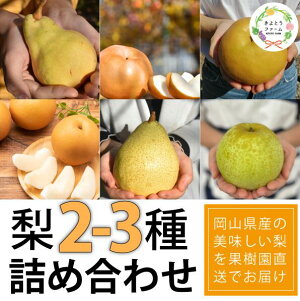 yӂ邳Ɣ[Łz yƂt@[zD̂߂́A2`3Hה ƒp 5-7 (RY) yKF-C016-01z/  a m ƒp RY ʕ  t[c Hה