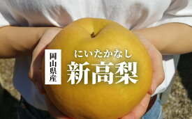 【ふるさと納税】 【2026年先行予約】新高梨 ご家庭用 3-6玉 (岡山県産)【KF-C020-01】/ 新高梨 梨 洋梨 ご家庭用 訳あり 果物 くだもの フルーツ