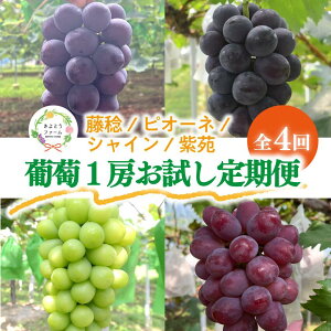 �y�ӂ邳�Ɣ[�Łz�y2026�N��s�\��z����1�[������4��ցi�{�b�P�[�l�E�s�I�[�l�E�V���C���}�X�J�b�g�E�����j(�����) (���R���Y) �yKF-T003-01�z