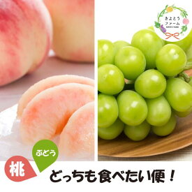 【ふるさと納税】 旬採り桃 と 種なし シャインマスカットどっちも食べたい便！【2026年先行予約】【全2回 定期便】 食べ比べ 先行予約 ぶどう 葡萄 先行予約 ご家庭用 ブドウ 送料無料 産地直送 人気 果物 フルーツ くだもの 葡萄 期間限定 数量限定 2026年発送 ギフト