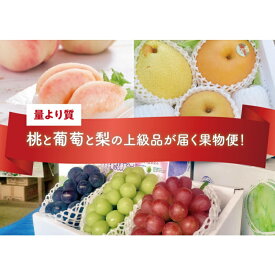 【ふるさと納税】 量より質！桃と葡萄と梨の上級品が届く岡山果物便！3回便(定期便) (岡山県産) 【配送不可地域：離島】 / 2026年先行予約 ぶどう もも 果物 フルーツ 岡山 真庭市 きよとう果樹園 きよとうファーム 定期 厳選【KF-T024-04】