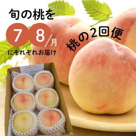 【ふるさと納税】 旬の桃の食べ比べを楽しむ、桃の2回便！(定期便) (岡山県産) / 2026年先行予約 ぶどう もも 果物 フルーツ 岡山 真庭市 きよとう果樹園 きよとうファーム 定期 厳選【KF-T025-01】