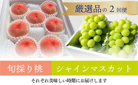 【ふるさと納税】 【定期便】 厳選した桃と大粒のシャインマスカットが届く満足便！2回便 (岡山県産)【2026年先行予約】
