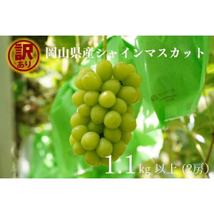 yӂ邳Ɣ[Łz RY@󂠂VC}XJbg@v1.1kgȏ@2[@YÊ@2025N825菇\yzsnFEꌧz R Ԃǂ uhE  }XJ