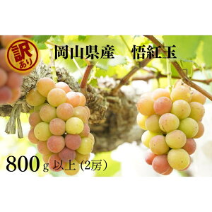 yӂ邳Ɣ[Łz RY@󂠂gʁ@v800gȏ@2[@YÊ@2025N820菇\ yzsnFEꌧz R Ԃǂ uhE  󂠂 ʕ t[