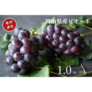 yӂ邳Ɣ[Łz I@RY@sI[l@v1.0kgȏ@2[@YÊ 2025N825菇 R Ԃǂ uhE  t[c ʕ yzsnFEꌧzy1394536z