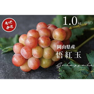 yӂ邳Ɣ[Łz I@RY@gʁ@v1.0kgȏ@2[@YÊ 2025N820菇yzsnFEꌧz uhE Ԃǂ  Sr[ ʕ t[cy1394
