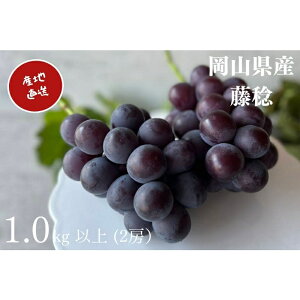 yӂ邳Ɣ[Łz y2026Ns\z I RY  1.0kgȏi2[j Yn ̂ Ԃǂ  s\ t[c ʕ ^s t[c  Â