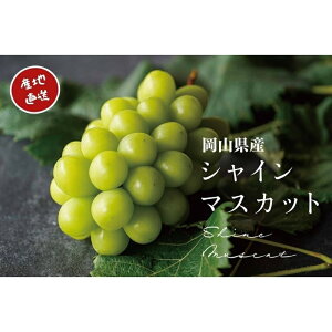 yӂ邳Ɣ[Łz y2026Ns\zI RY VC}XJbg 1.0kgȏi2[j 1.5kgȏi2`3[j / Y ̂ Ԃǂ uhE  }XJbg t[c ʕ ^s