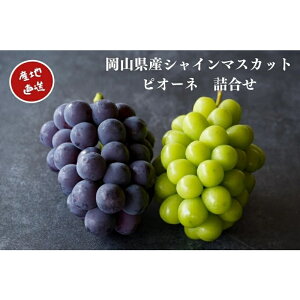 yӂ邳Ɣ[Łz y2026Ns\z I RY VC}XJbgEsI[l lߍ 1.0kgȏi2[j 1.5kgȏi2`3[j / Yn ̂ Ԃǂ Hה s\ t[c ^