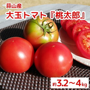 yӂ邳Ɣ[Łz_ fRY ʃg}guYv3.2`4.0kg 2025N8`10돇\聄  VN Yn { {