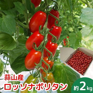 yӂ邳Ɣ[Łz_ C^Ag}gub\i|^v2kg 2025N8`10돇\聄  VN Yn { {