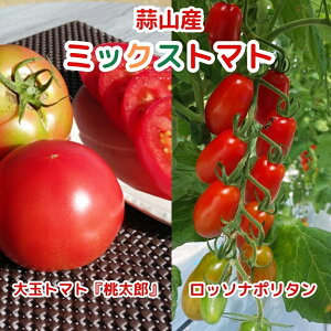 yӂ邳Ɣ[Łz_@~bNXg}g@ʃg}guYvC^Ag}gub\i|^v2025N8`10돇\聄  VN Yn { {