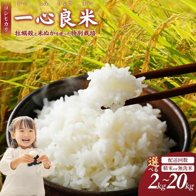 【ふるさと納税】 配送時期が選べる！ 米 コシヒカリ 化学肥料不使用 特別栽培米 一心良米 お米 精米 白米 無洗米 2kg 5kg 10kg 20kg 選べる容量・回数 定期便 3ヶ月 6ヶ月 9ヶ月 12ヶ月 岡山県 令和7年産 3回 6回 12回 ブランド米 送料無料 人気