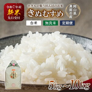 yӂ邳Ɣ[Łz yߘa7NYs\z ߘa7NV ^sY ʂނ    5kg 10kg  3 6 12 /  Y R ^s   ʂނ LkX lC u