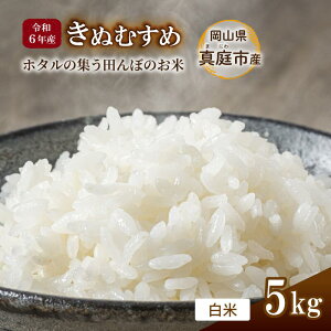 yӂ邳Ɣ[Łzߘa6NY ʂނ  5kg R^sY ^ Y  uhāytakenaka001z