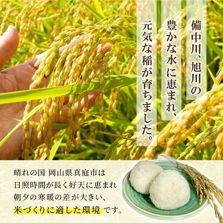 楽天市場】【ふるさと納税】 令和7年産米 真庭市産 きぬむすめ 白米 